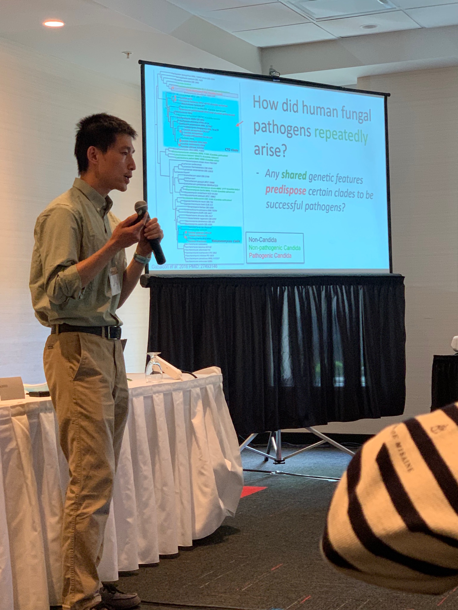 Bin He presenting the lab's adhesin evolution research