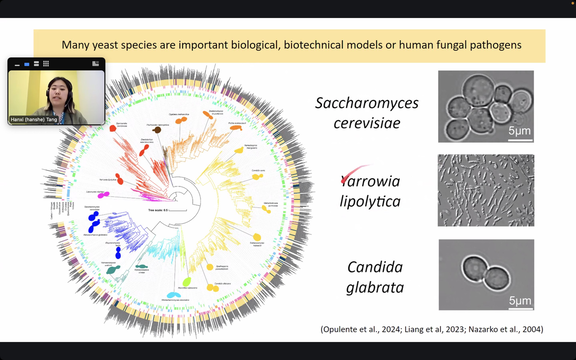 A second photo from Hanxi Tang's MS thesis defense celebration