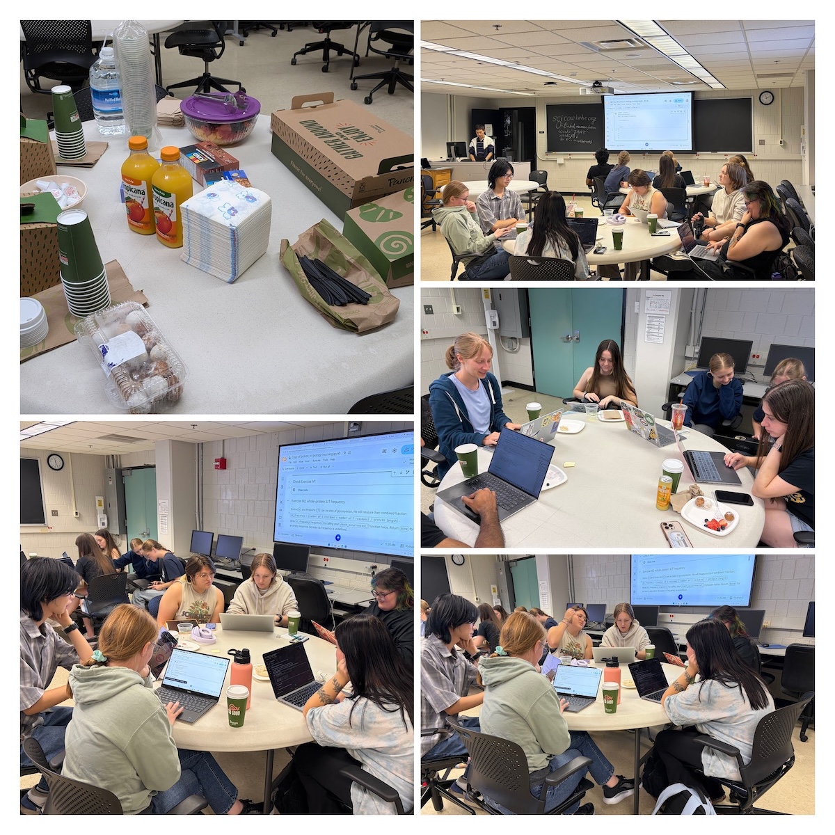 SciCoW collage